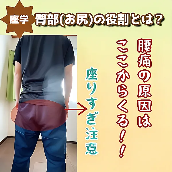 お尻の役割を知る[座学]
