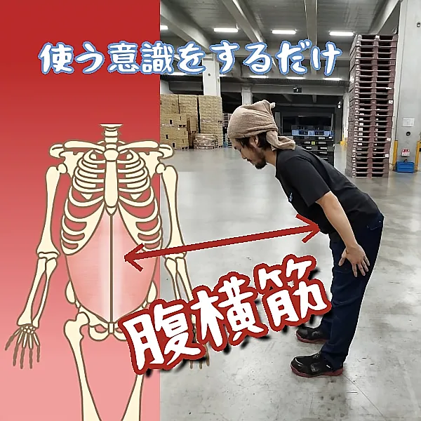 腹横筋を引き締め、運動の仕方を思い出せ