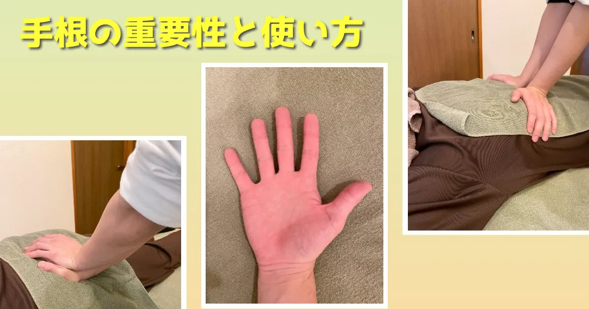 基本知識：目的に合わせた基礎の理解