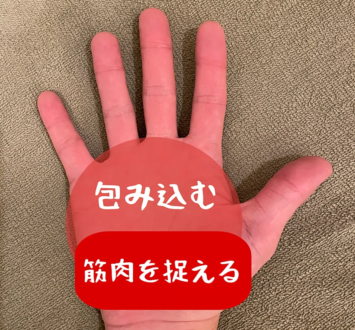 手根の位置を示すイメージ