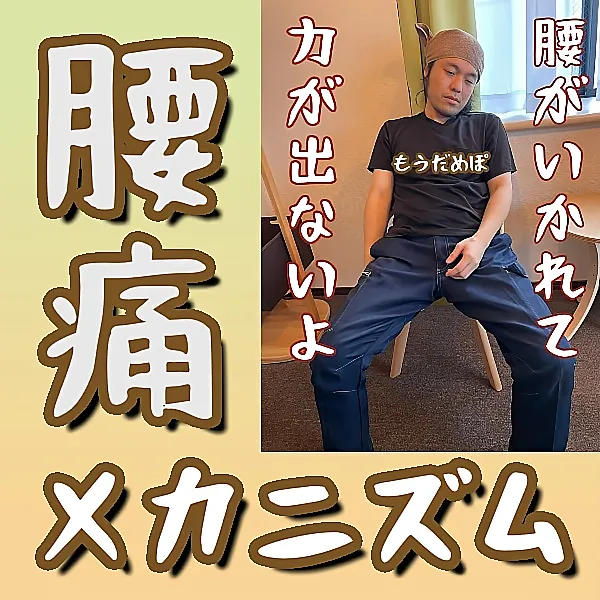 無料:腰の圧し方